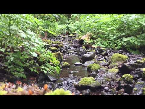 Creek at the Muller trailhead at the base of the campground if you need to filter water or just for enjoyment