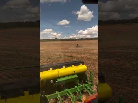 25  de fevereiro de 2026