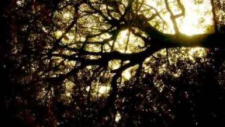 Milt Jackson - What Are You Doing The Rest Of Your Life?