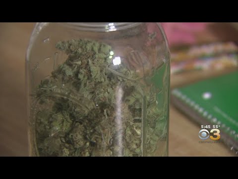 Marijuana Not Helpful In Treating Mental Health Problems, Researchers Say