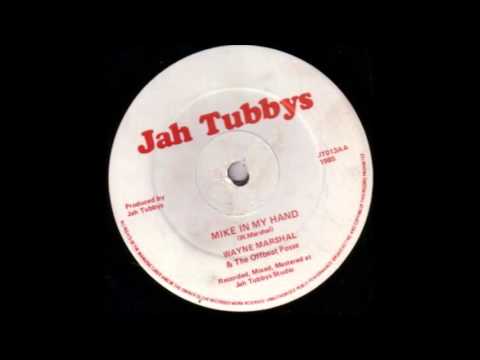 Wayne Marshall Mike In My Hand & Dub