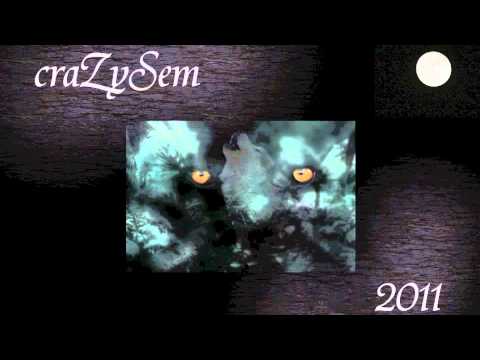 craZySem - was soll ich tun