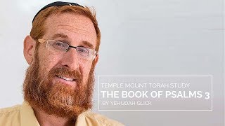 Yehudah Glick: The Whole World against Us [Book of Psalms 3]