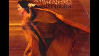 The Silent Awakening