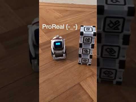 Cozmo Roboter ProReal