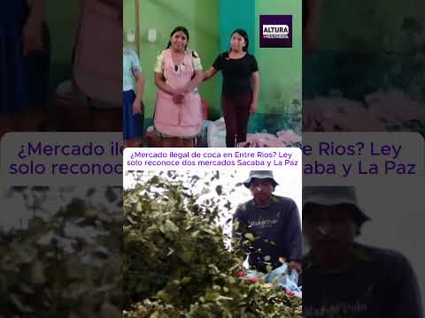 Mercado de coca trópico de Cochabamba