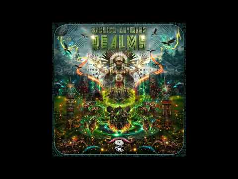 Centurio Senex & Psynopsis - Reflections On Existence