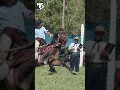 Festival Nacional de Gato y Mancha 2026, Alto Rio Senguer, Chubut, Argentina