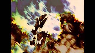 MY PHANTOM LIMB