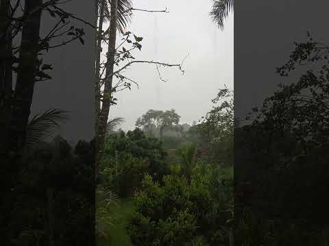 terça feira de chuva em Orizona Goiás ✔️