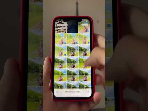 Cómo capturar Live Photos en tu iPad y sacarles el máximo partido