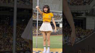 【Passion Sisters】#峮峮#Julia#岳東華應援曲#台湾チアリーディングチーム#中華職棒#CPBL#洲際#20240922（周思齊引退賽）