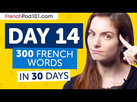 Day 14: 140/300 | Learn 300 French Words in 30 Days Challenge