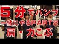 【筋トレ】超時短!5分だけ一緒に筋トレしよう!Part2編~肩・力こぶ編~