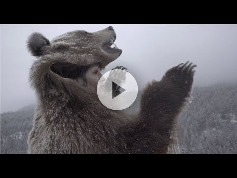 The Superpowers of the bear - Stikla