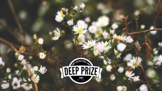 GAMPER & DADONI - Heavy Heart (feat. Mark Wilkinson)