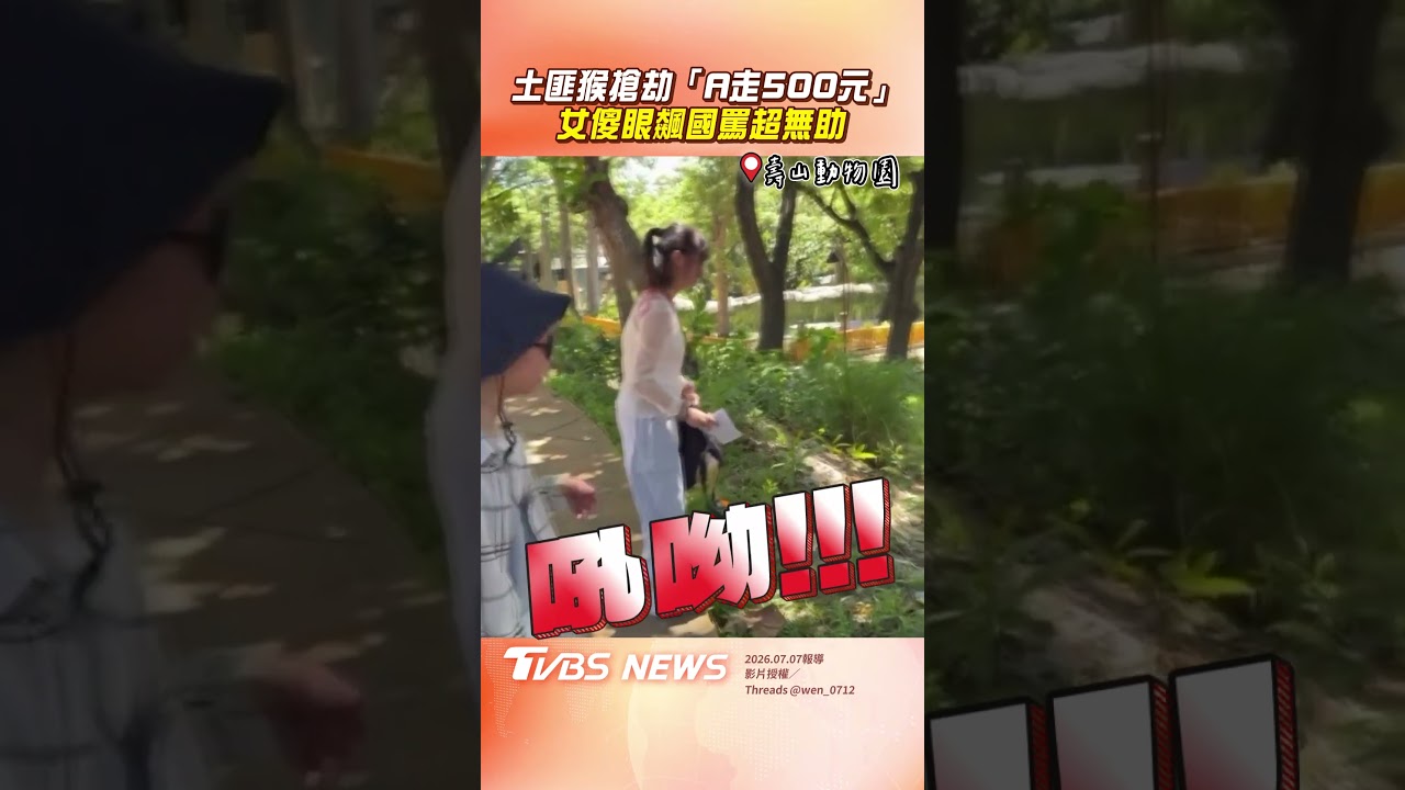 影音／壽山土匪猴搶劫「A走500元」　女傻眼「飆國罵狂吼」