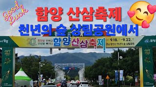 함양 산삼축제(천년의 숲 상림공원) #천을귀인TV #함양여행 #산삼축제 #상림공 원