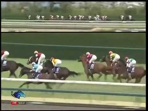 2014.03.30 Takamatsunomiya Kinen - Copano Richard