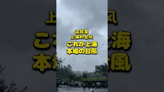 これが上海 本場の台風 #上海 #台風 #shanghai #typhoon