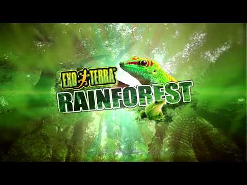Exo Terra Hagen NETAIKOMA NETAIKOMA video