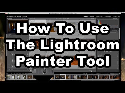 So verwenden Sie das Lightroom Painter Tool (Lightroom Classic)