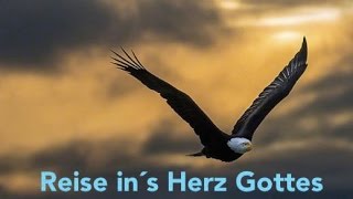 Meditation zum Herzen Gottes - Hinweis zum Kurs "Hellwach"