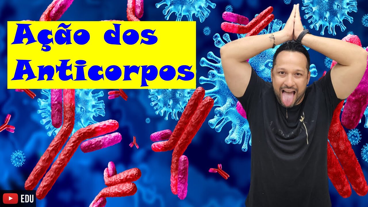 Anticorpos - Mecanismos de Ação - Formas de Ataque Direto - Sistema Imune - Imunologia - Fisiologia