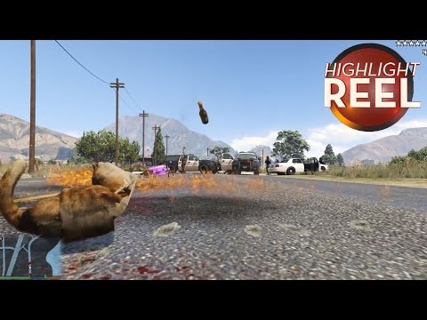 Highlight Reel #110 - GTA Cat Goes On Molotov Rampage