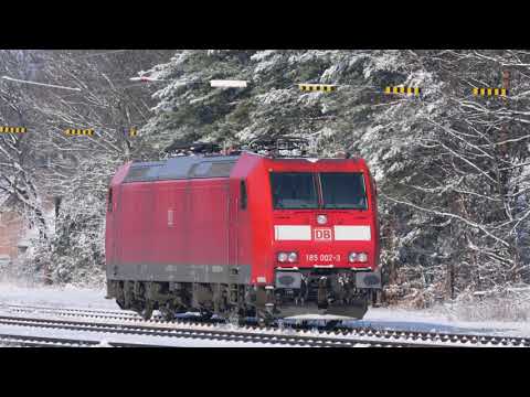 **Schneezüge - Snowtrains - Snøtåget** BÜ 20,095 Hohenböken/Oldbg 30.01.2021