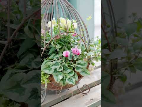 休閑地には昆虫が集まり、その結果鳥も集まります。