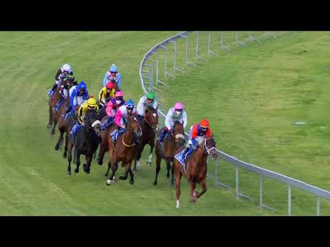 SEEKING THE STARS - 2021 #ThisIsRacing MATCHEM STAKES (Grade 3)