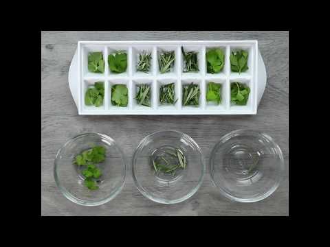 Ice Cube Tray Hacks - 4 Hacks You Never Knew You Could Do With An Ice Cube Tray