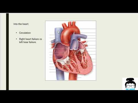 Cardiology (an overview)