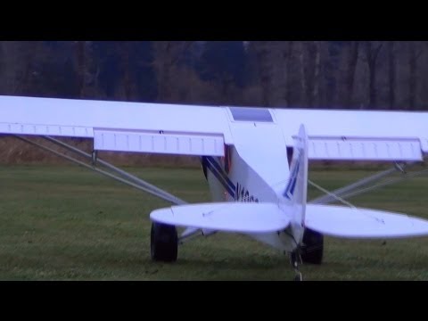 Hangar 9 1/4 Scale PA-18 Super Cub Flight