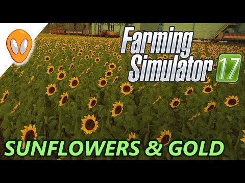 Farming Simulator 17 | Gold Nuggets & Sunflowers | Goldcrest Valley E8