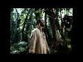 The Secret Life Of Plants - Stevie Wonder (subtitulado español/inglés)