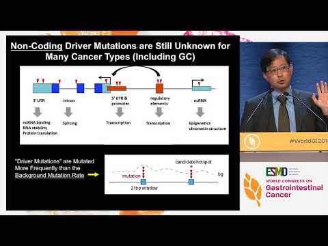 Keynote Lecture: Progress in unraveling the molecular taxonomy in oesophageal and gastric cancer