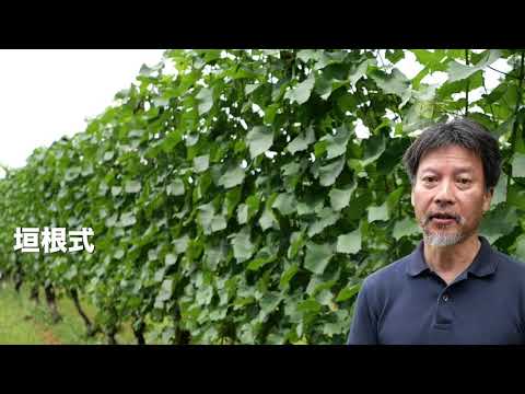 【山梨大学】リレーメッセージ05 奥田徹生命環境学部長