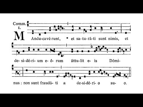 Dominica in Sexagesima (Sexagesima Sunday) - Communio (Manducaverunt et saturati)