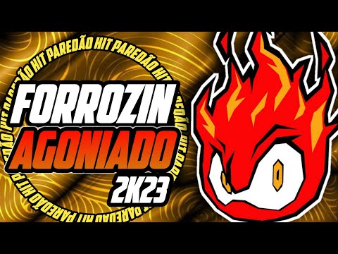 FORROZIN AGONIADO DJ MELK / DJ JEFF DE PL / DUDU BATIDÃO #forrozin #viral #nordeste #forró #piseiro