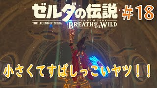 【BtoW】この世の原理を知らない　寄り道がメインのゼルダの実況　18