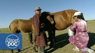 Genghis Khan. Nomadic Desert | Culture - Planet Doc Full Documentaries
