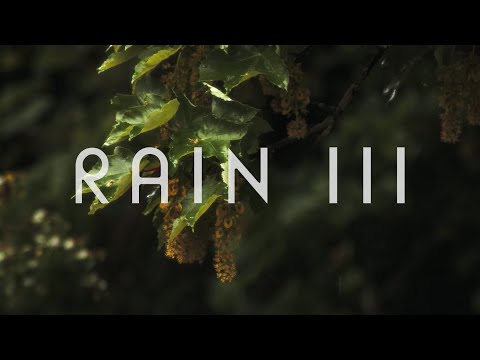 Rain III