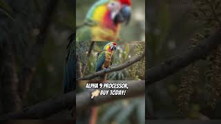 Best Black Friday & Cyber Monday TV Deals 2025 – LG, Samsung, Panasonic & More! Top 5 Best TV🔥