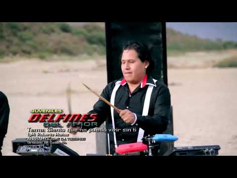 LOS DELFINES DEL AMOR - SIENTO QUE NO PUEDO VIVIR SIN TI