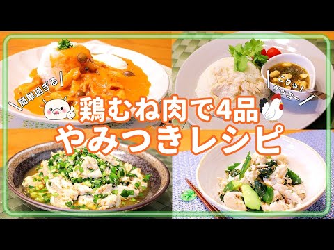 【鶏むねレシピ4品】全部冷凍保存OK!鶏むねを美味しく食べよう 鶏むね ニラ カオマンガイ 和え物 香味漬け ストロガノフ