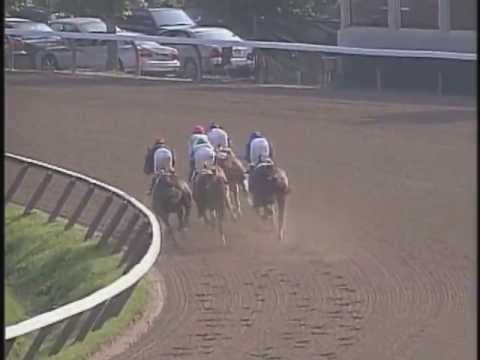 Azeri vs. Sightseek Go for Wand Handicap