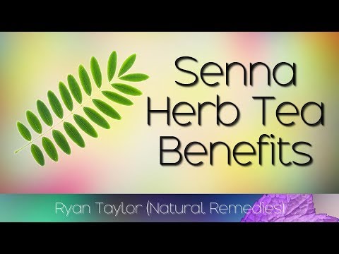 Senna herb tea: benefits (cassia alata)