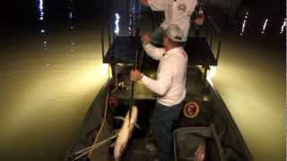 preview picture of video 'Bowfishing Grass Carp'